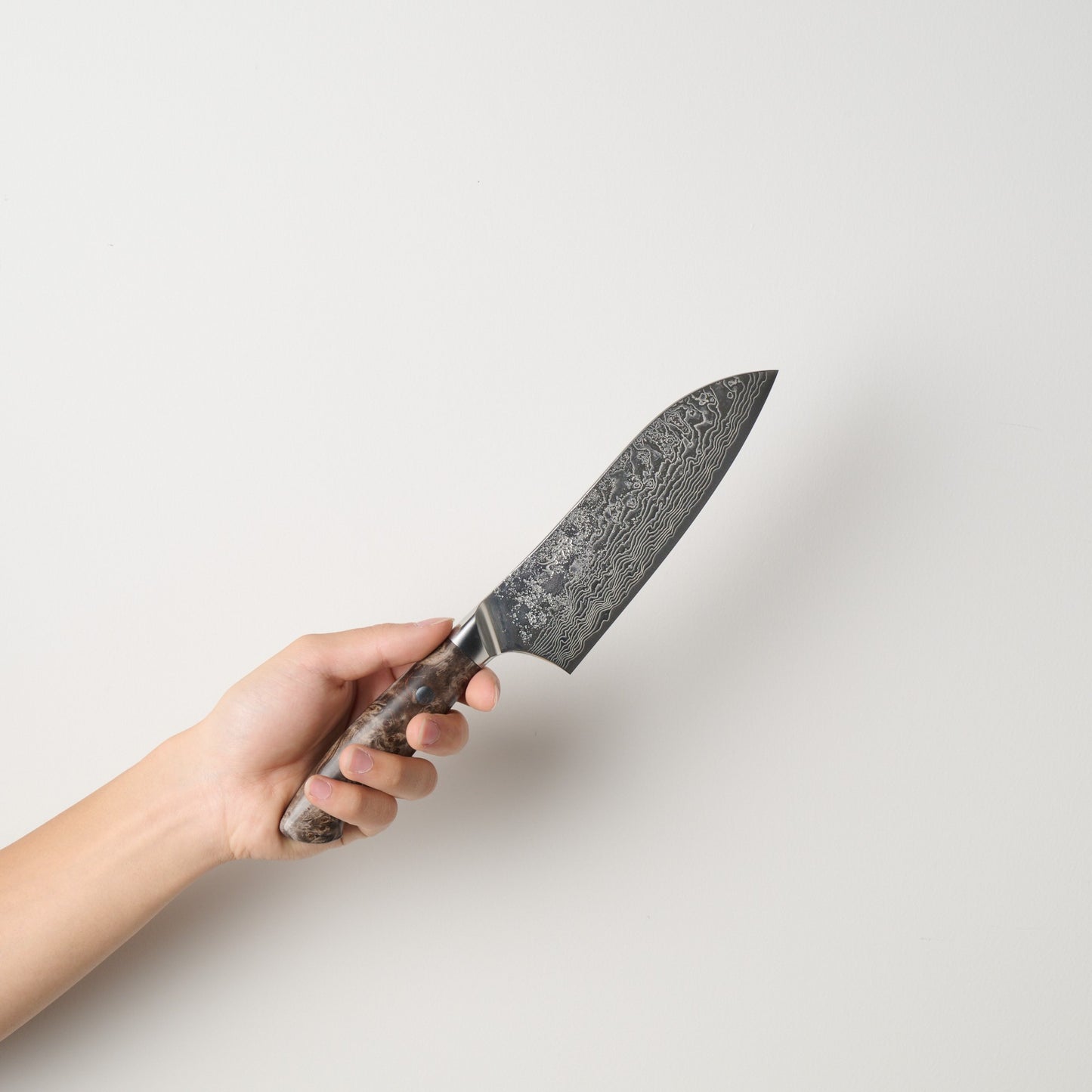 猿九|敦盛|三徳包丁|180mm|花梨瘤