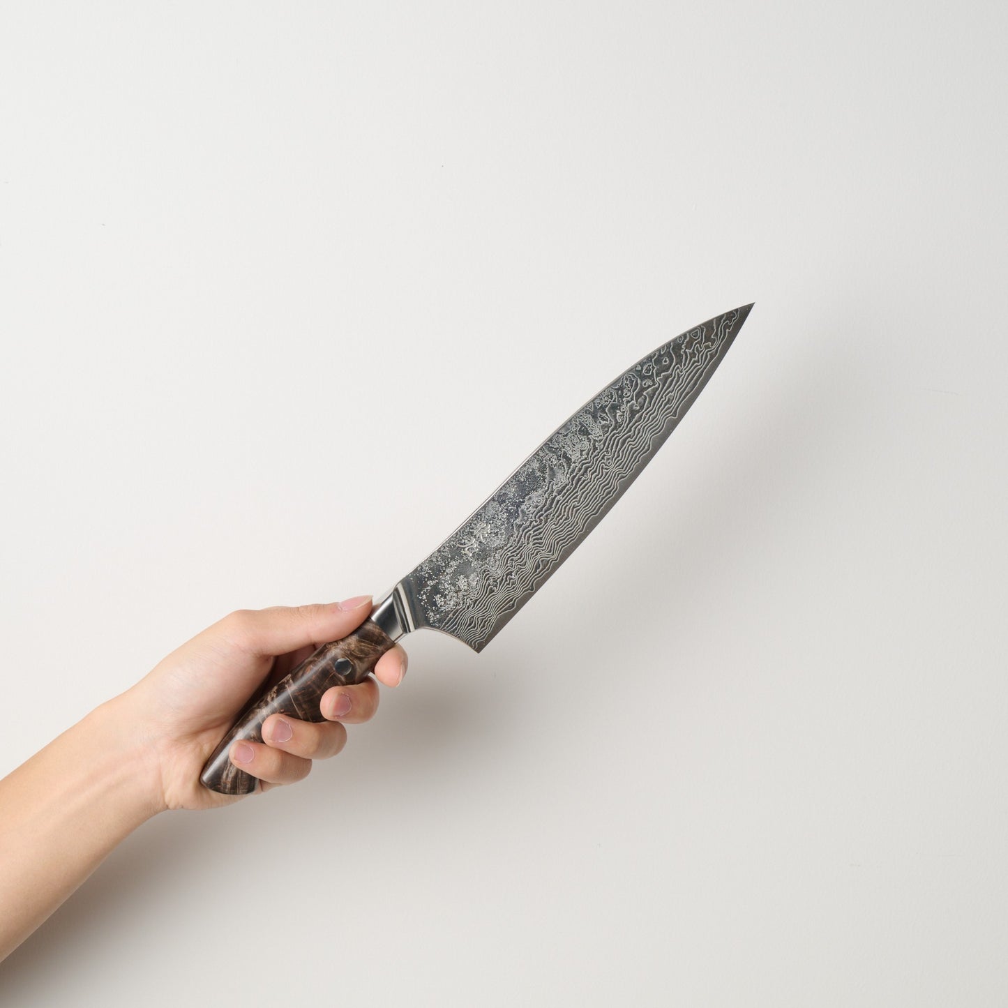 猿九｜敦盛｜牛刀｜210mm｜花梨瘤